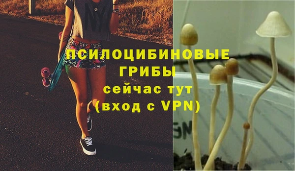 не бодяженный Абинск