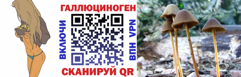 Галлюциногенные грибы Cubensis  Зеленогорск 