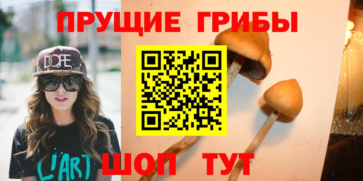 Зеленогорск  наркошоп  Вход с VPN  Галлюциногенные грибы прущие грибы 