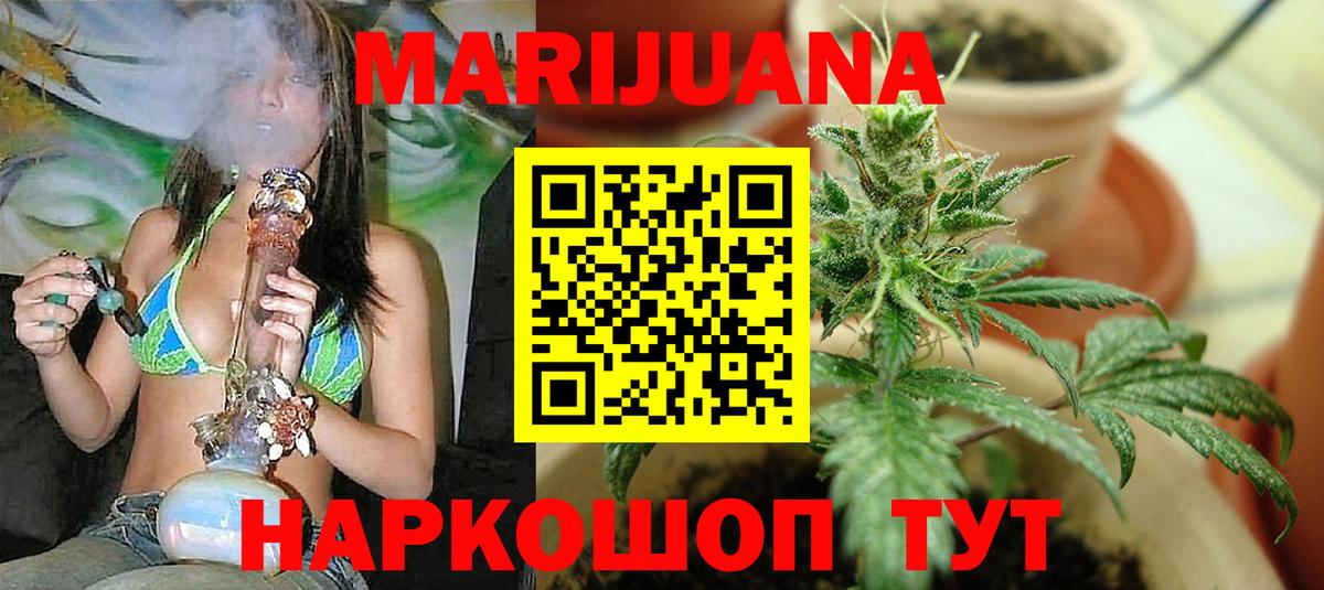 Конопля планчик Зеленогорск